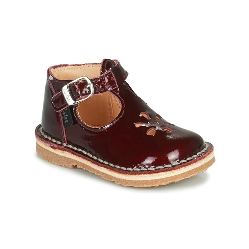 Aster BIMBO Couleur Bordeaux 3 Aster BIMBO Couleur Bordeaux