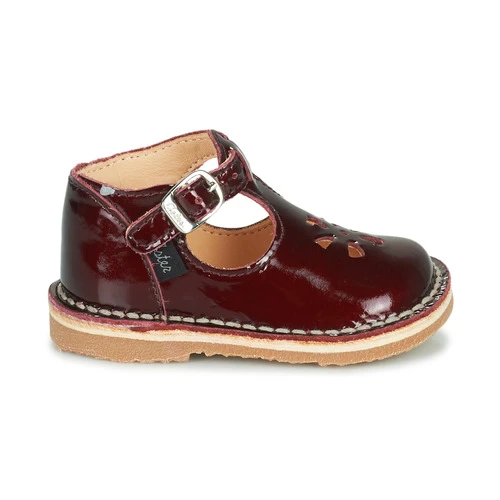 Aster BIMBO Couleur Bordeaux 4 Aster BIMBO Couleur Bordeaux – Image 2