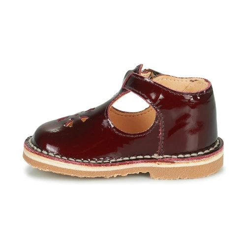 Aster BIMBO Couleur Bordeaux 6 Aster BIMBO Couleur Bordeaux – Image 4