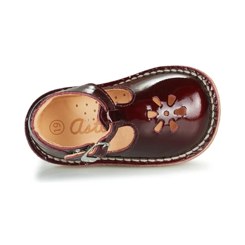 Aster BIMBO Couleur Bordeaux 8 Aster BIMBO Couleur Bordeaux – Image 6