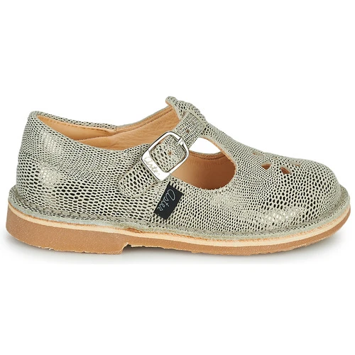 Aster DINGO-2 Couleur Doré 4 Aster DINGO-2 Couleur Doré – Image 2