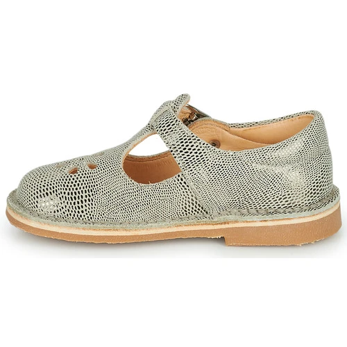 Aster DINGO-2 Couleur Doré 6 Aster DINGO-2 Couleur Doré – Image 4