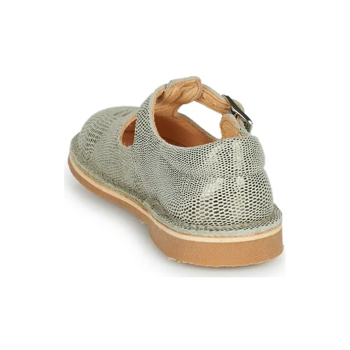 Aster DINGO-2 Couleur Doré 7 Aster DINGO-2 Couleur Doré – Image 5