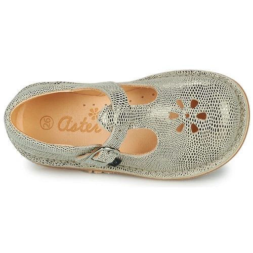 Aster DINGO-2 Couleur Doré 8 Aster DINGO-2 Couleur Doré – Image 6