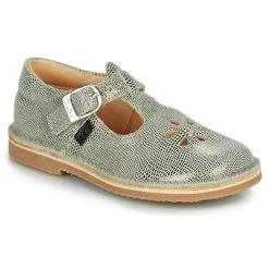 Aster DINGO-2 Couleur Doré