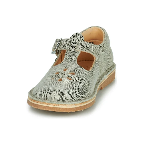 Aster DINGO-2 Couleur Doré 5 Aster DINGO-2 Couleur Doré – Image 3