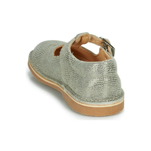 Aster DINGO-2 Couleur Doré 7 Aster DINGO-2 Couleur Doré – Image 5