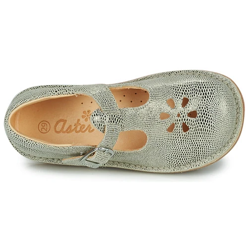 Aster DINGO-2 Couleur Doré 8 Aster DINGO-2 Couleur Doré – Image 6