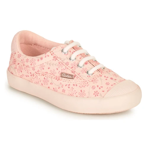Aster VANILIE Couleur Rose 3 Aster VANILIE Couleur Rose