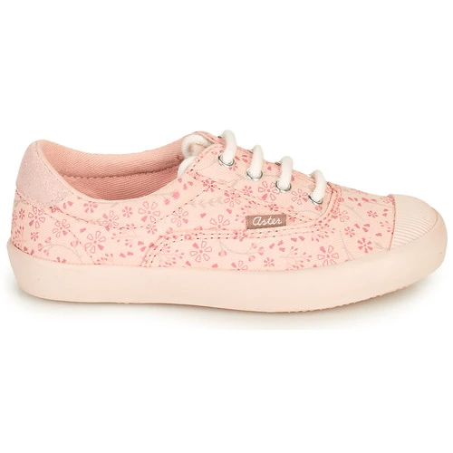 Aster VANILIE Couleur Rose 4 Aster VANILIE Couleur Rose – Image 2