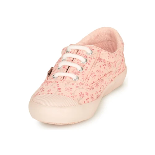 Aster VANILIE Couleur Rose 5 Aster VANILIE Couleur Rose – Image 3