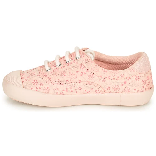 Aster VANILIE Couleur Rose 6 Aster VANILIE Couleur Rose – Image 4