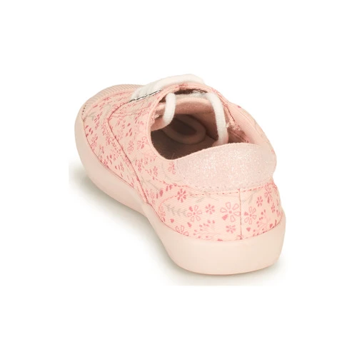 Aster VANILIE Couleur Rose 7 Aster VANILIE Couleur Rose – Image 5
