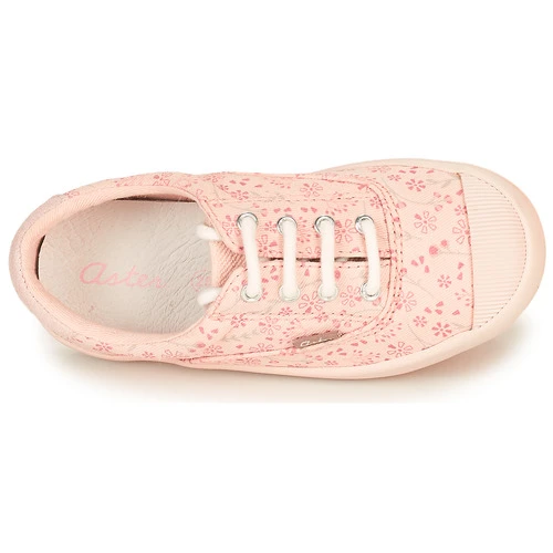 Aster VANILIE Couleur Rose 8 Aster VANILIE Couleur Rose – Image 6