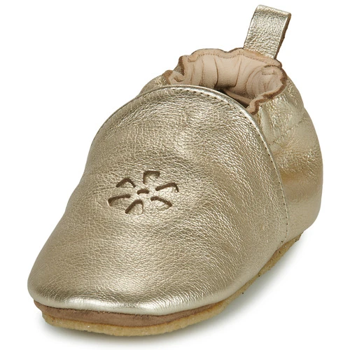 Aster LAZEEZ Couleur Doré 5 Aster LAZEEZ Couleur Doré – Image 3