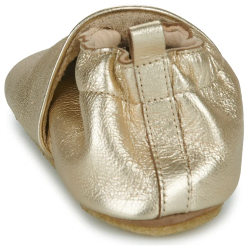 Aster LAZEEZ Couleur Doré 7 Aster LAZEEZ Couleur Doré – Image 5