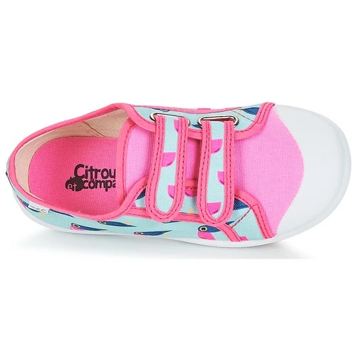 Citrouille Et Compagnie GLASSIA Couleur Multicolore 8 Citrouille Et Compagnie GLASSIA Couleur Multicolore – Image 6